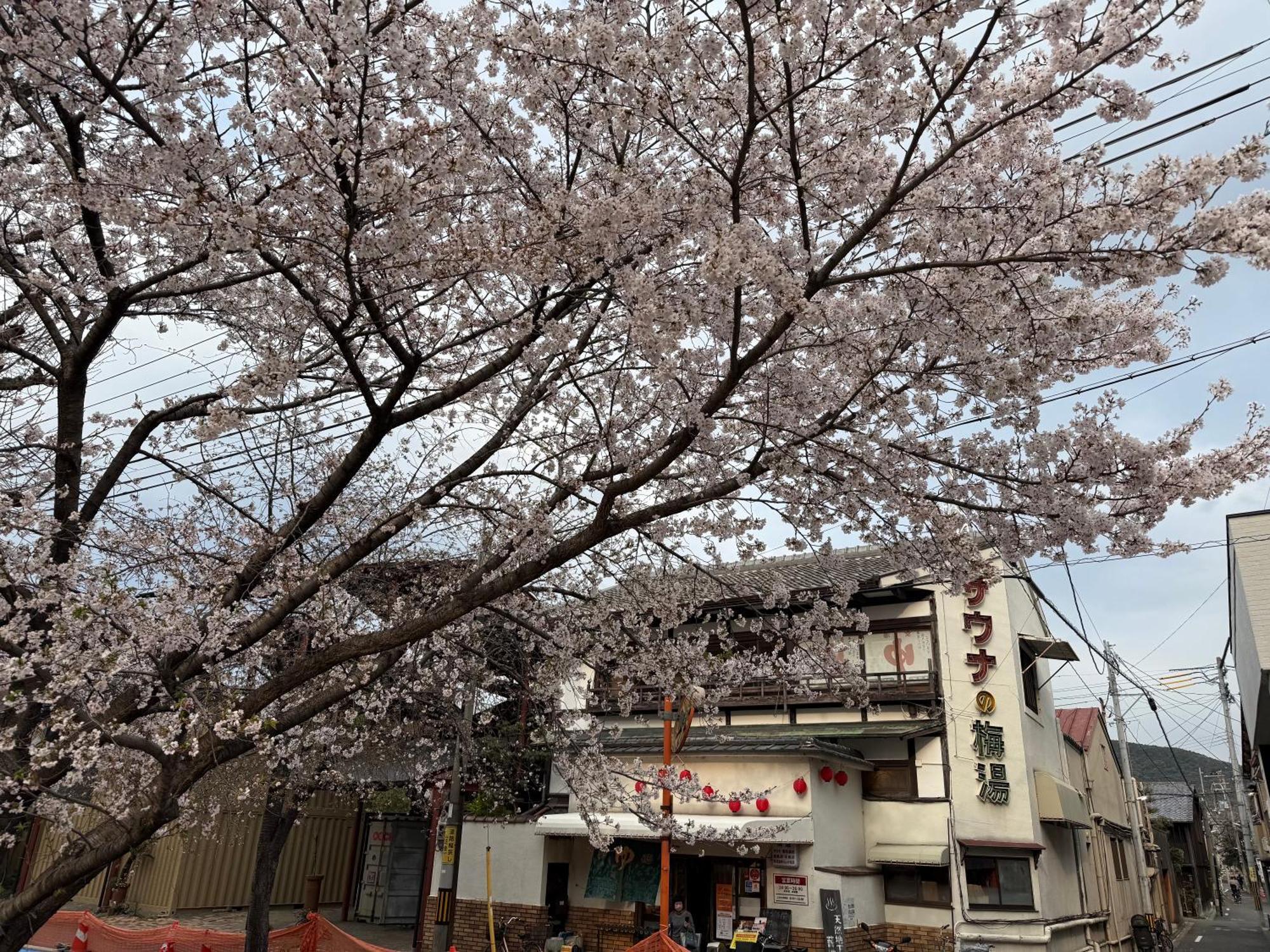 Ferienwohnung 初音 Kyōto Exterior foto
