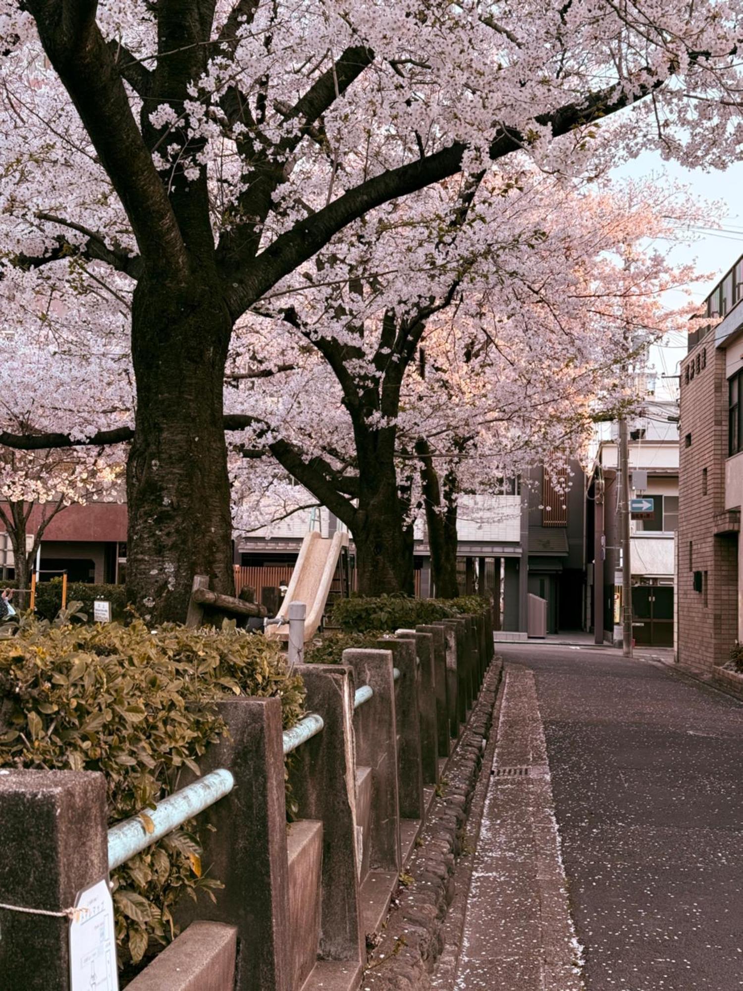 Ferienwohnung 初音 Kyōto Exterior foto