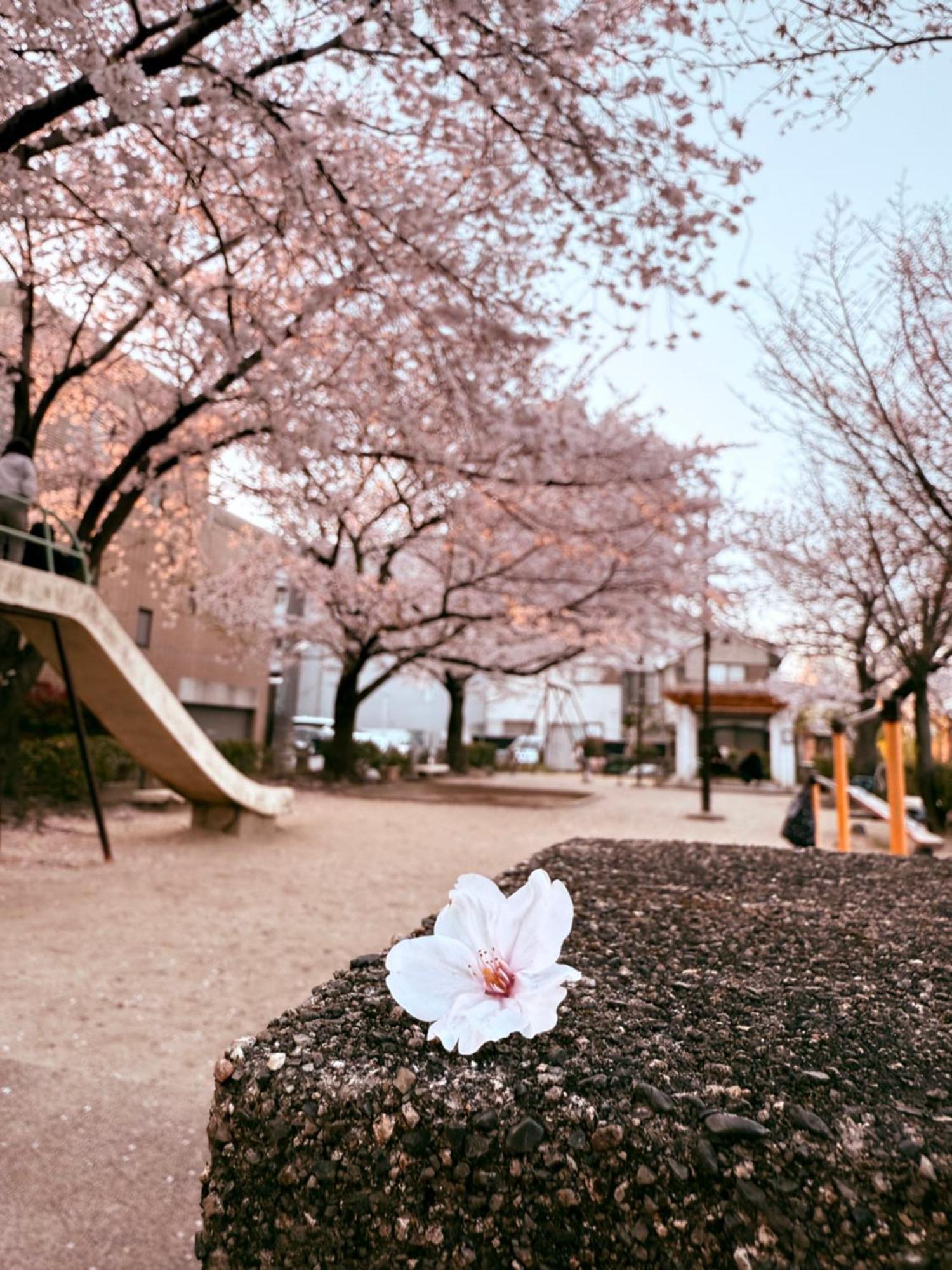 Ferienwohnung 初音 Kyōto Exterior foto