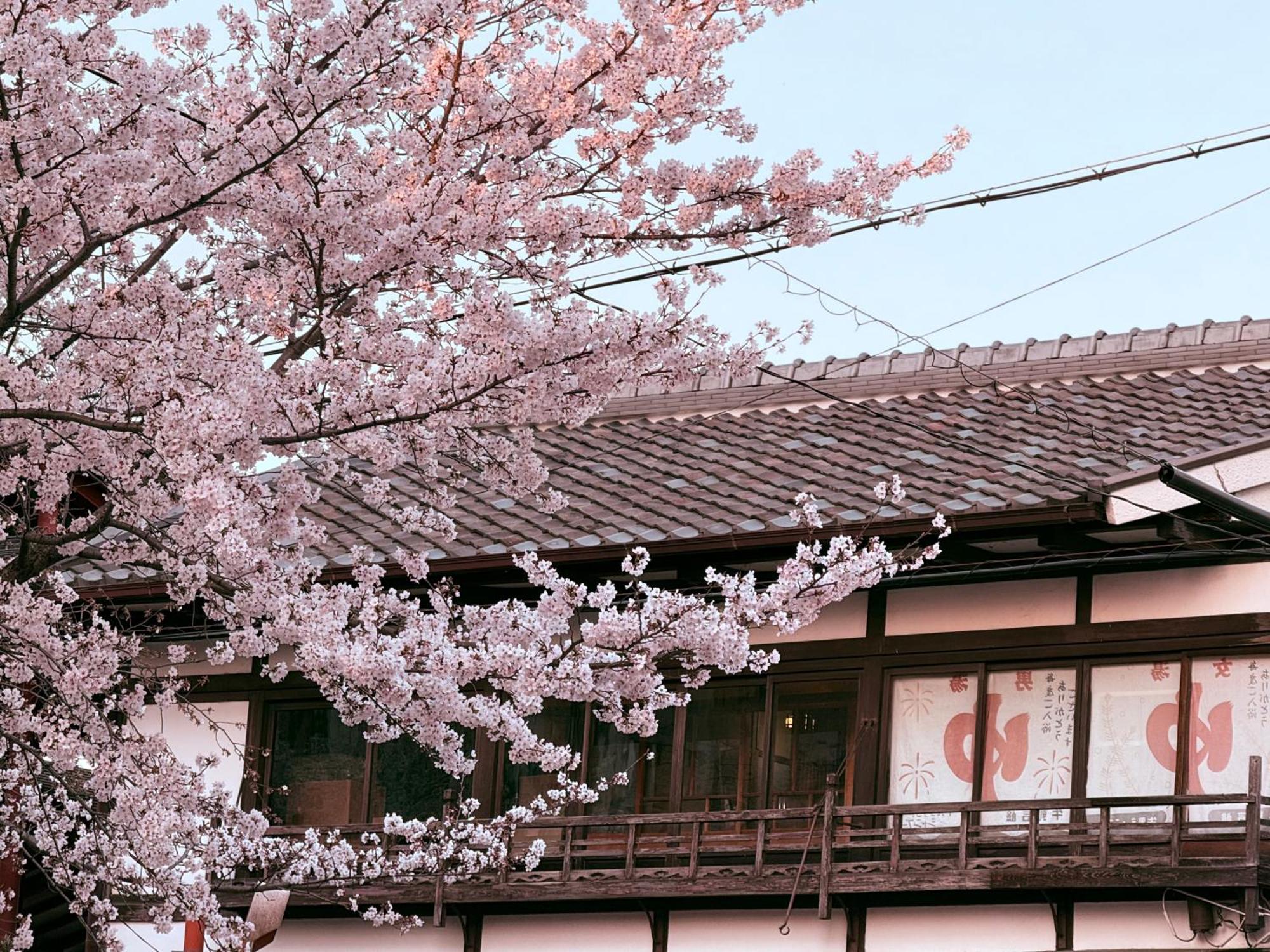 Ferienwohnung 初音 Kyōto Exterior foto